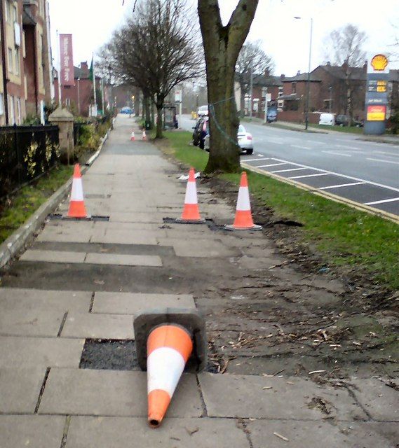 "Half a dozen cones" by Gerald England is licensed under CC BY-SA 2.0 